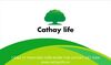 Cathay Life