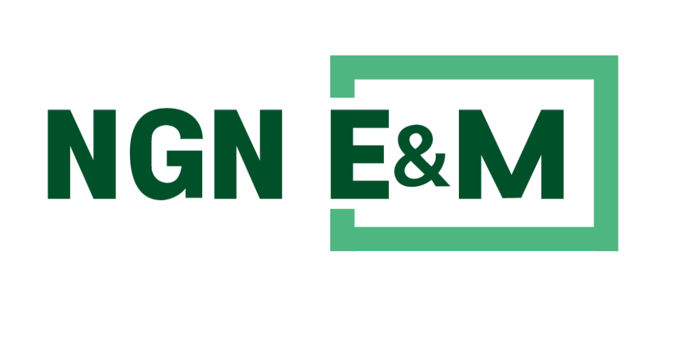 Công ty TNHH NGN E&M